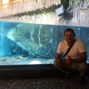 ���������� �������, ���� ������� �������, 37 ���, ������������ ��� ������, ����� � ���������, c�������� ���������