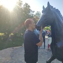 ���������� ���������, ���� ������� ����, 36 ���, ������������ ��� ������, ����� � ���������, c�������� ���������