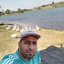  Alanya,   Faris, 41 ,     , c 