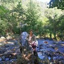 ���������� �����������, ���� ������� �������, 43 ����, ������������ ��� c�������� ���������