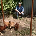 ���������� ������, ���� ������� �����, 56 ���, ������������ ��� ������, ����� � ���������, c�������� ���������