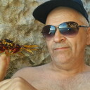  ,   , 65 ,  