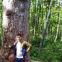 ���������� ��������, ���� ������� �������, 32 ����, ������������ ��� ������, ����� � ���������, c�������� ���������