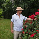 ���������� �����, ���� ������� �������, 55 ���, ������������ ��� ����� � ���������