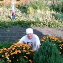 ���������� �����������, ���� ������� �������, 57 ���, ������������ ��� ������, ����� � ���������, c�������� ���������