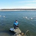 ���������� ���������, ���� ������� �������, 44 ����, ������������ ��� ������, ����� � ���������, c�������� ���������