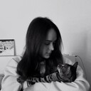 ���������� �����-���������, ���� ������� ����, 28 ���, ������������ ��� ����� � ���������