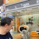 ���������� ������, ���� ������� ������, 65 ���, ������������ ��� c�������� ���������