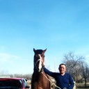 ���������� ������, ���� ������� �����, 29 ���, ������������ ��� ������, ����� � ���������, c�������� ���������