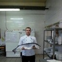 ���������� �����, ���� ������� ���������, 36 ���, ������������ ��� ������, ����� � ���������