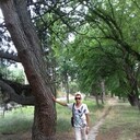 ���������� �����������, ���� ������� �����, 41 ���, ������������ ��� ������, ����� � ���������, c�������� ���������