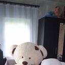 ���������� ������, ���� ������� ����, 37 ���, ������������ ��� ������, ����� � ���������