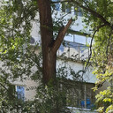 ���������� ������������, ���� ������� �����, 32 ����, ������������ ��� ������, ����� � ���������, c�������� ���������