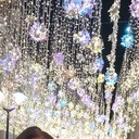 ���������� ������, ���� ������� ��������, 57 ���, ������������ ��� ������, ����� � ���������, c�������� ���������