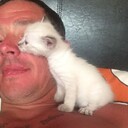  ,   , 92 ,   ,   , c , 