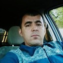  ,    , 41 ,  