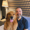 ���������� ������, ���� ������� ������, 53 ����, ������������ ��� ����� � ���������, c�������� ���������