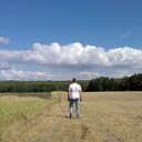 ���������� ������, ���� ������� ������, 50 ���, ������������ ��� ������, ����� � ���������, c�������� ���������