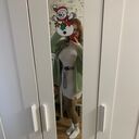 ���������� �����������, ���� ������� �������, 27 ���, ������������ ��� ����� � ���������, c�������� ���������