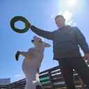 ���������� �������, ���� ������� ��������, 29 ���, ������������ ��� ������, ����� � ���������