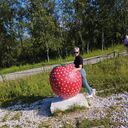 ���������� �������������, ���� ������� �����, 48 ���, ������������ ��� ����� � ���������, c�������� ���������