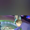 ���������� ������, ���� ������� �������, 46 ���, ������������ ��� ������, ����� � ���������, ���������