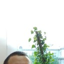 ���������� ������, ���� ������� ���������, 27 ���, ������������ ��� ������, ����� � ���������, c�������� ���������, ���������