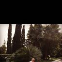 ���������� �����, ���� ������� �����, 37 ���, ������������ ��� ������, ����� � ���������