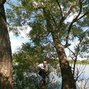 ���������� ������, ���� ������� ������, 36 ���, ������������ ��� ������, ����� � ���������, c�������� ���������, ���������