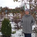 ���������� �������, ���� ������� �����, 46 ���, ������������ ��� c�������� ���������