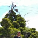 ���������� ������, ���� ������� Jek, 37 ���, ������������ ��� ������, ����� � ���������