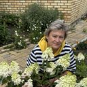  ,   , 56 ,   ,   , c , 