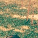  ,   906333128, 34 ,   ,   , c 