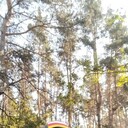 ���������� �����-���������, ���� ������� �������, 41 ���, ������������ ��� ����� � ���������, c�������� ���������