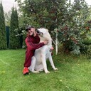  --,   , 26 ,   ,   , c , 