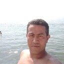 ���������� ����, ���� ������� �����, 43 ����, ������������ ��� ������, c�������� ���������, ���������