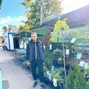 ���������� �����-���������, ���� ������� ����, 40 ���, ������������ ��� ������, ����� � ���������, c�������� ���������