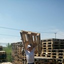 ���������� �����, ���� ������� ������, 31 ���, ������������ ��� ������, ����� � ���������, c�������� ���������, ���������