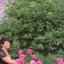 ���������� ������, ���� ������� ��������, 49 ���, ������������ ��� ������, ����� � ���������, c�������� ���������