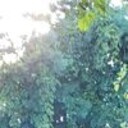 ���������� ������, ���� ������� ����, 34 ����, ������������ ��� ������, ����� � ���������, c�������� ���������