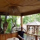  ,   Gexam, 33 ,   ,   , c 