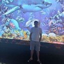 ���������� �������, ���� ������� �������, 35 ���, ������������ ��� ������, ����� � ���������