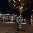 ���������� ���������, ���� ������� �����, 33 ����, ������������ ��� ������, ����� � ���������