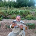   ,   , 62 ,     , c 