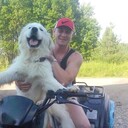 ���������� ���������, ���� ������� �������, 38 ���, ������������ ��� ������, ����� � ���������, c�������� ���������