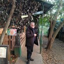  ,   Pikaso, 60 ,   ,   