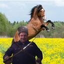 ���������� ���������, ���� ������� ���������, 48 ���, ������������ ��� ������, ����� � ���������