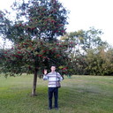 ���������� ������, ���� ������� �������, 42 ����, ������������ ��� ������, ����� � ���������, c�������� ���������