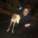 ���������� ������, ���� ����� �������, 25 ���, ������������ ��� ����� � ���������, c�������� ���������