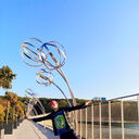 ���������� ����������, ���� ������� ���������, 36 ���, ������������ ��� ������, ����� � ���������, c�������� ���������